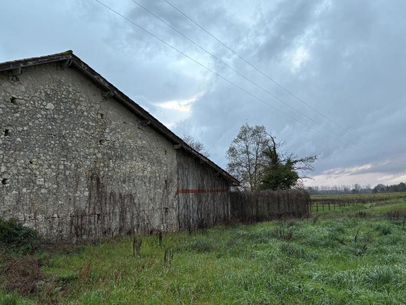 Maison - 185 m² - 7 pièces