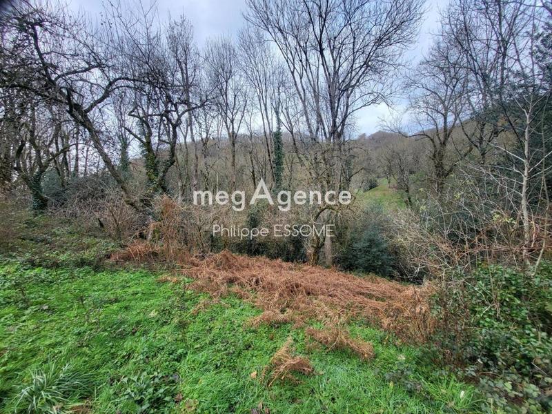 Maison en pierre - 450 m² - 8 pièces