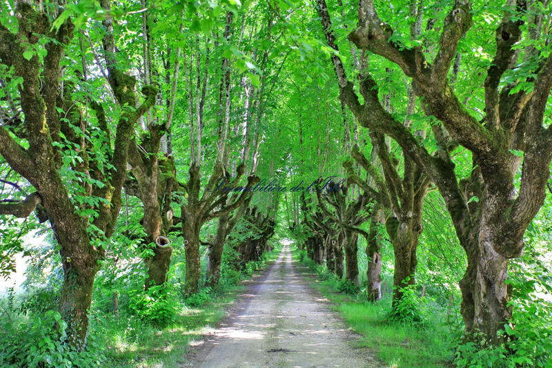 Maison - 792 m² - 14 pièces