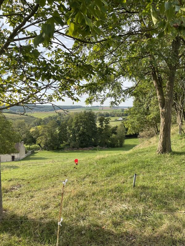 Maison - 870 m² - 3 pièces