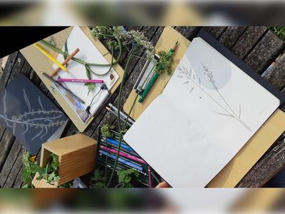 Atelier Herbier dessiné de nos plantes compagnes
