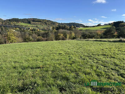 Terrain - 7 957 m²