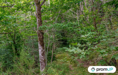 Terrain de loisirs - 5 300 m²