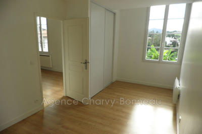 Appartement - 55 m² - 2 pièces