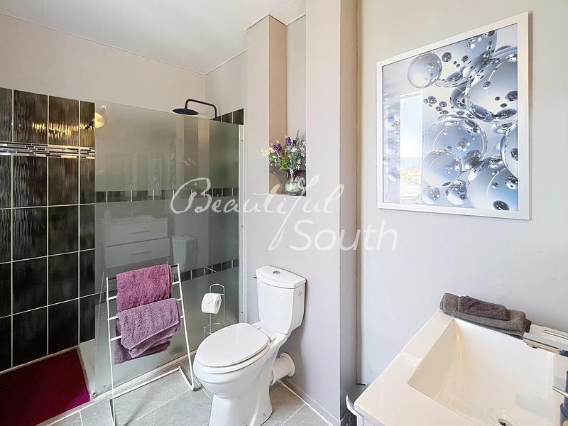 Hôtel particulier - 260 m²