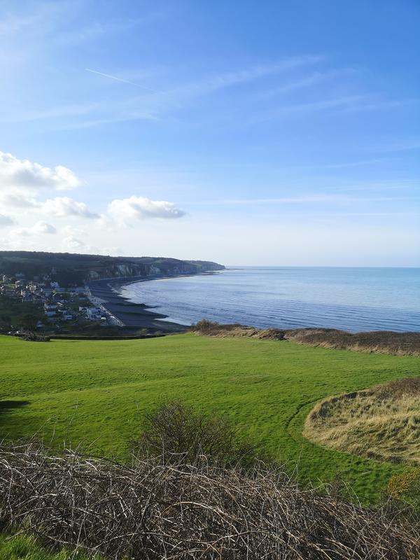 Biodiversité littorale - Plage de Pourville-sur-Mer