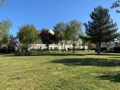 Studio - 25 m² - 1 pièce