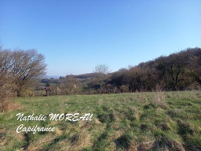 Terrain constructible - 1 841 m²