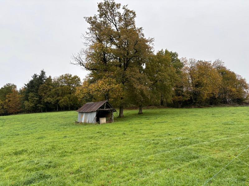 Maison de campagne - 110 m² - 3 pièces