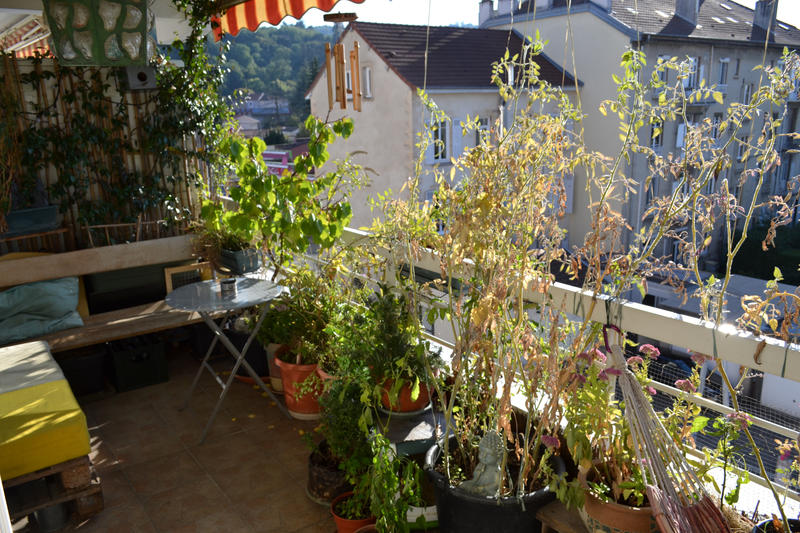 Appartement - 52 m² - 2 pièces