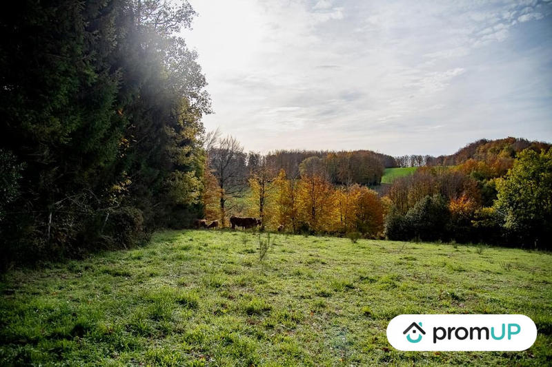 Terrain agricole - 30 568 m²