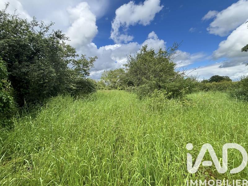 Maison - 156 m² - 4 pièces