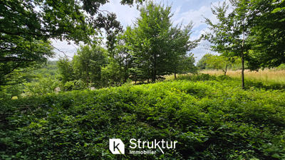 Terrain - 1 831 m²