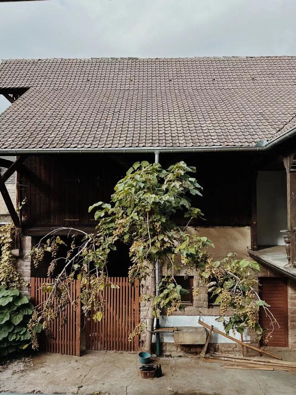 Maison - 312 m² - 12 pièces