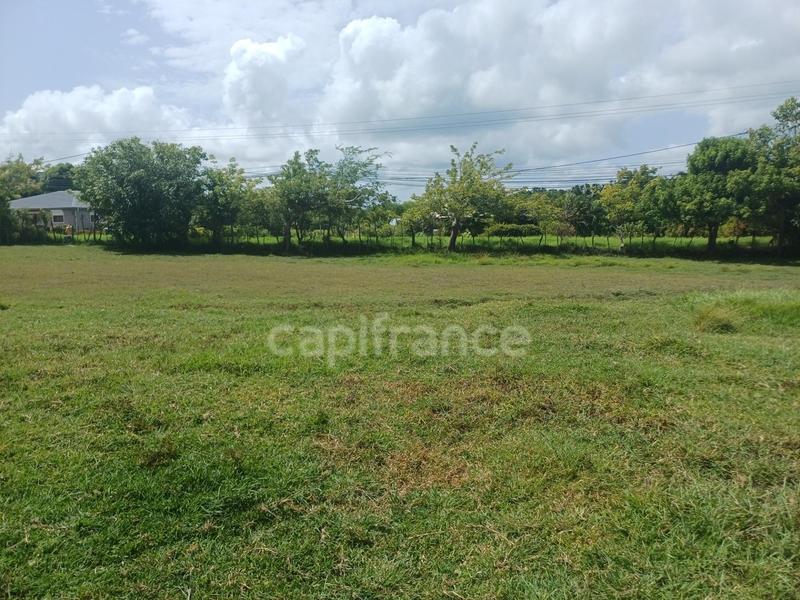 Terrain constructible - 1 000 m²