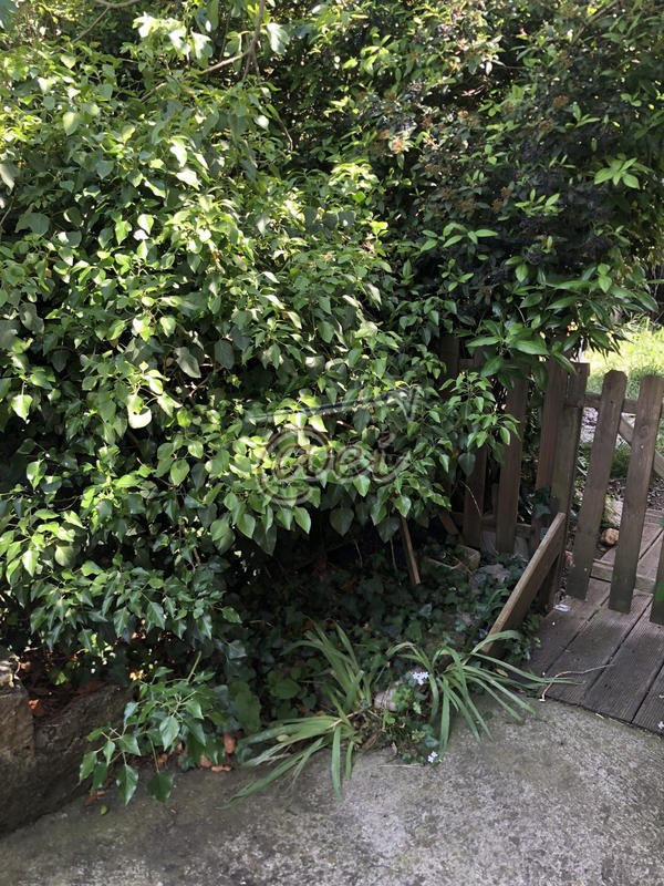 Maison - 70 m² - 1 pièce