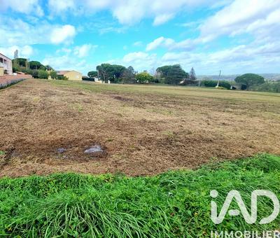 Terrain - 11 884 m²