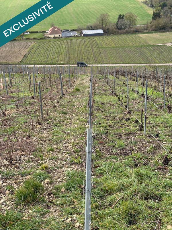 Terrain agricole - 700 m²