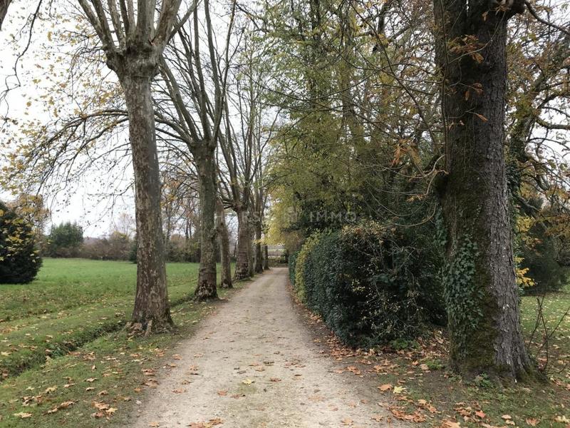 Manoir - 600 m² - 25 pièces