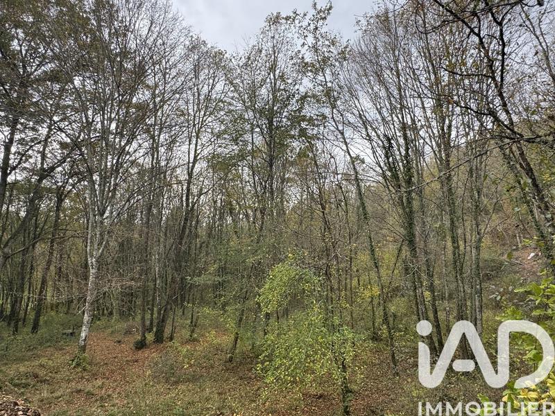 Maison - 97 m² - 4 pièces