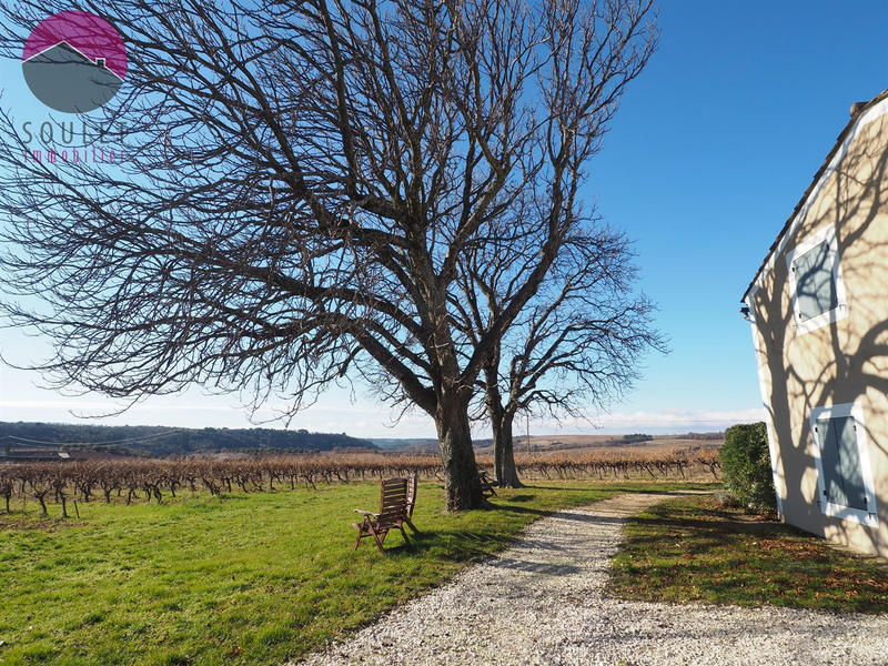 Mas - 575 m² - 15 pièces