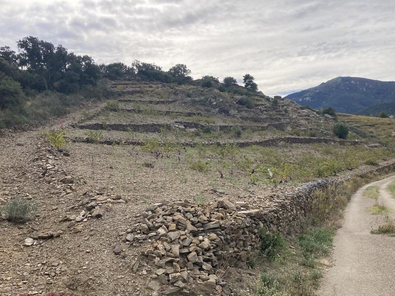 Terrain agricole - 10 846 m²