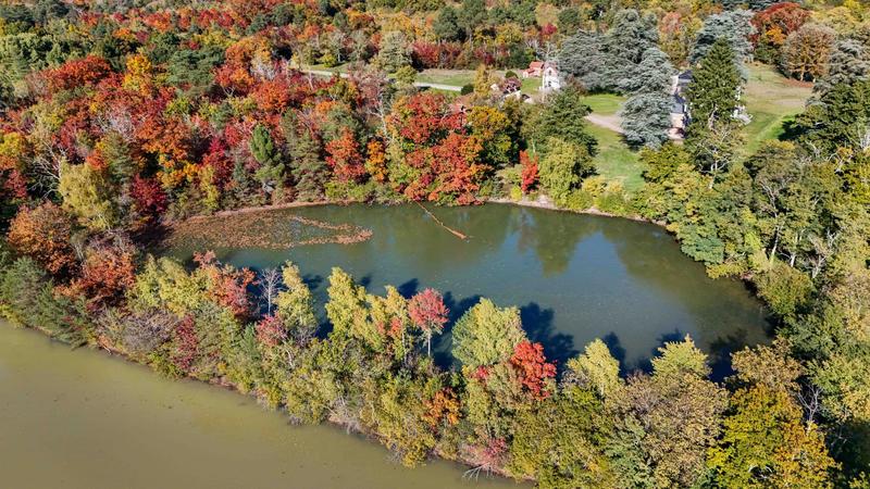 Propriété - 1 125 m² - 25 pièces