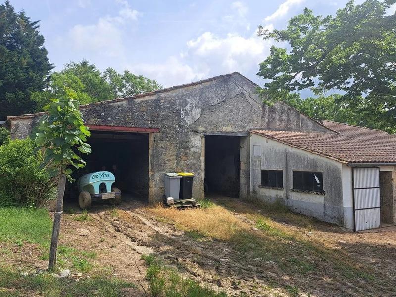 Propriété viticole - 168 m² - 7 pièces