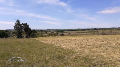 Terrain agricole - 2 115 m²