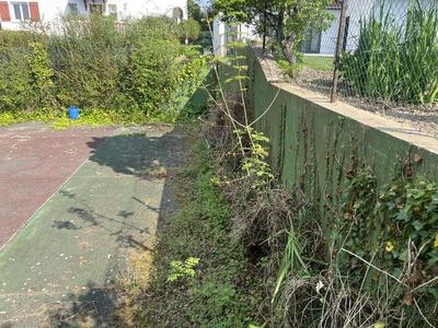 Terrain constructible - 1 538 m²