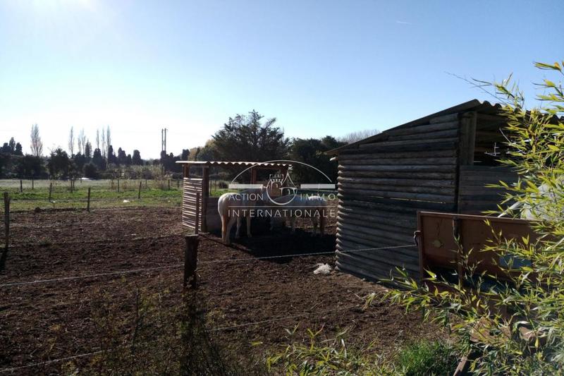 Maison de domaine équestre - 400 m² - 14 pièces