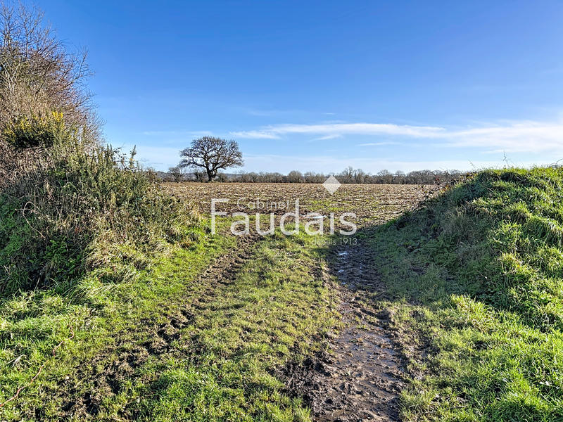 Terrain agricole - 65 732 m²