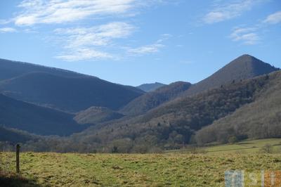 Terrain constructible - 1 410 m²