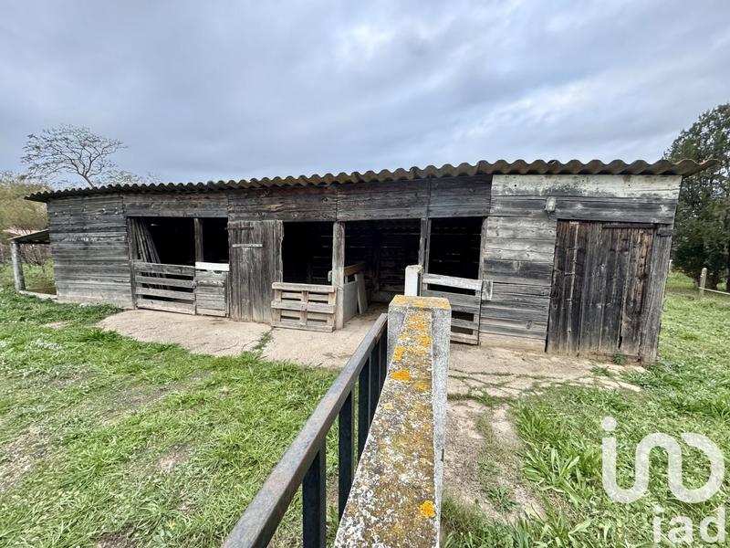 Maison - 300 m² - 9 pièces