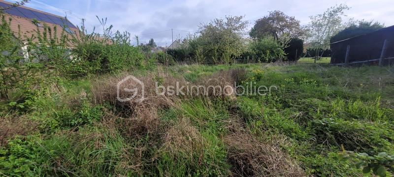 Maison ancienne - 211 m² - 10 pièces