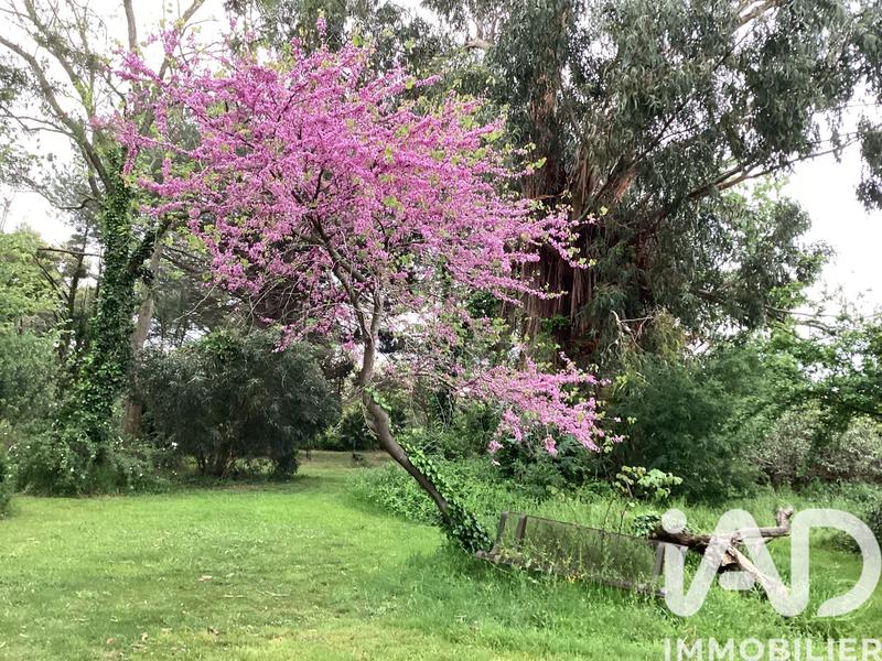 Maison - 215 m² - 5 pièces