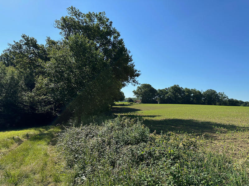 Maison - 180 m² - 5 pièces