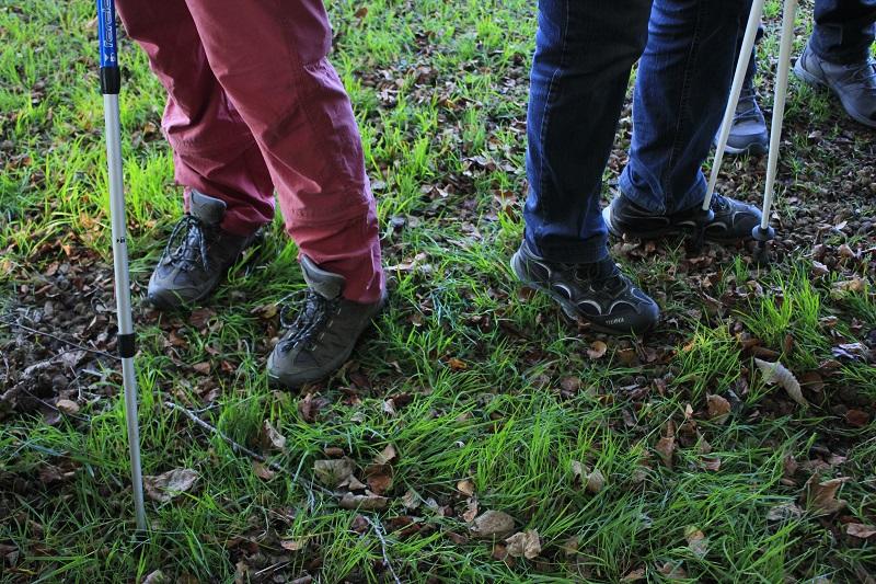 Randonnée pédestre