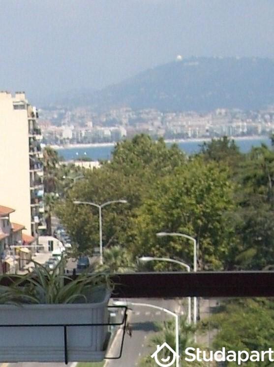 Chambre - 14 m² - 1 pièce