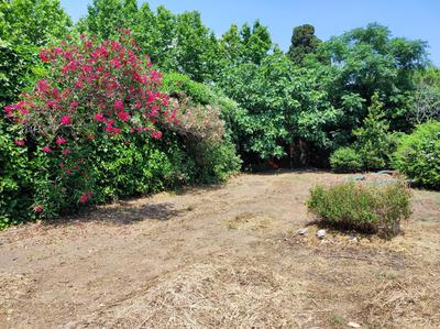 Maison ancienne - 195 m² - 8 pièces