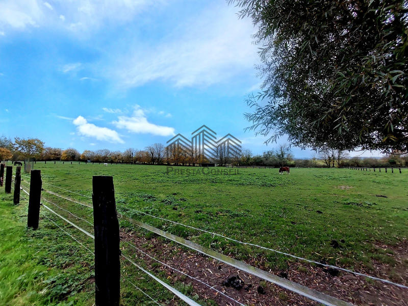 Propriété - 272 m² - 7 pièces