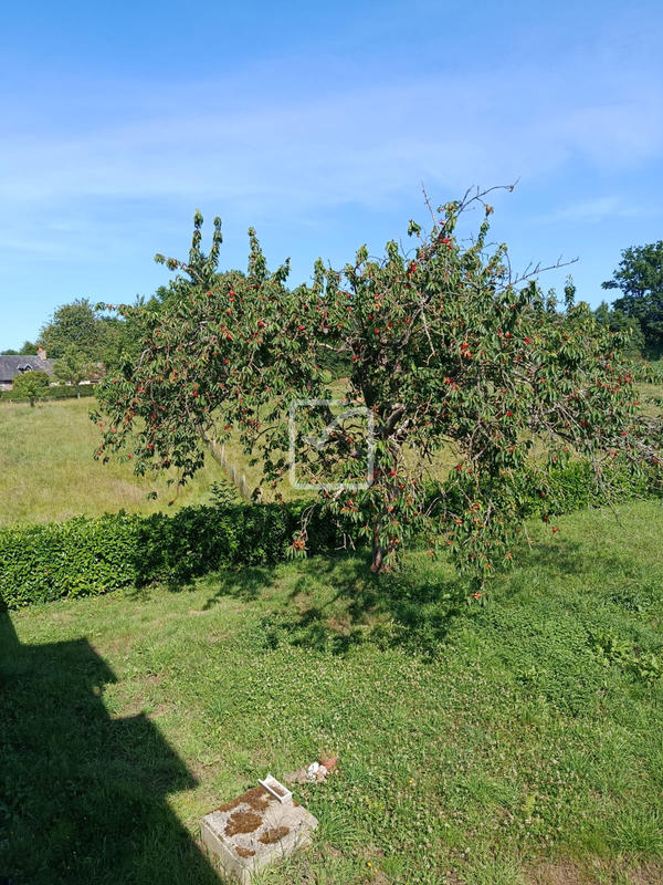 Maison - 103 m² - 7 pièces