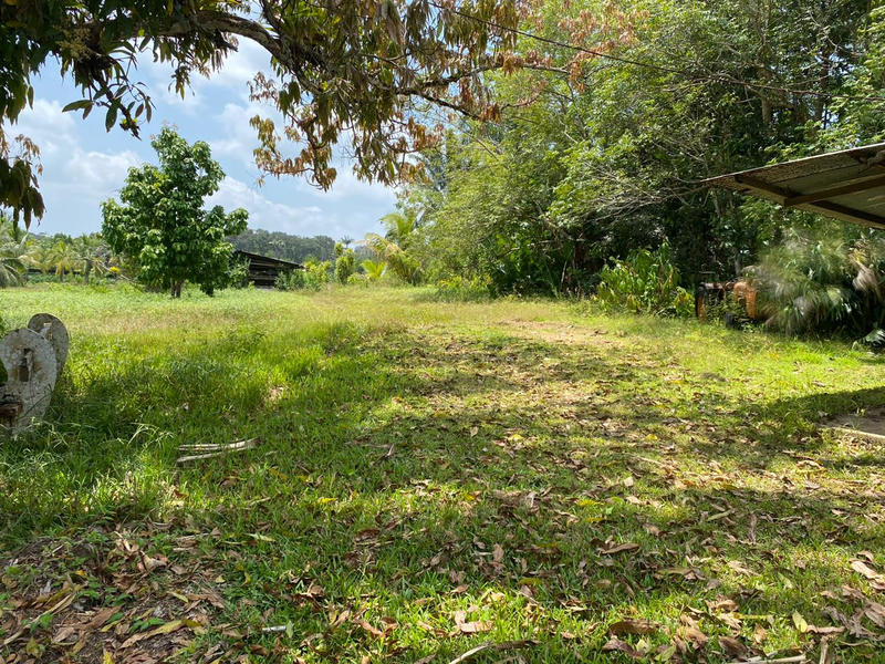 Terrain agricole - 62 539 m²