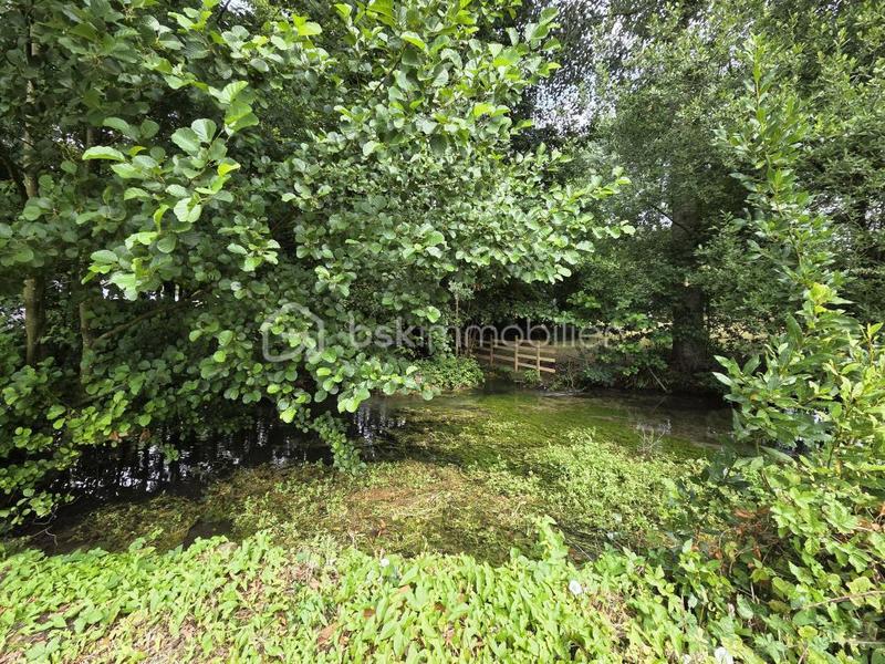 Maison ancienne - 234 m² - 7 pièces