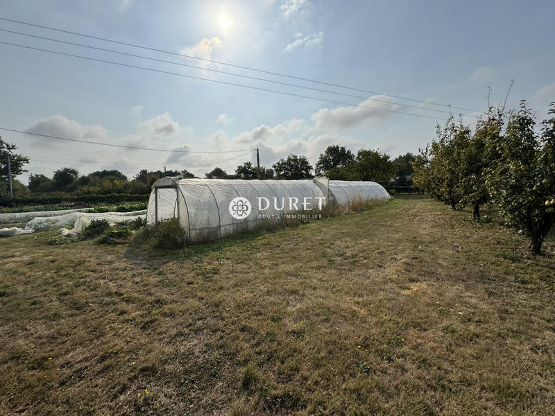 Maison ancienne - 154 m² - 6 pièces