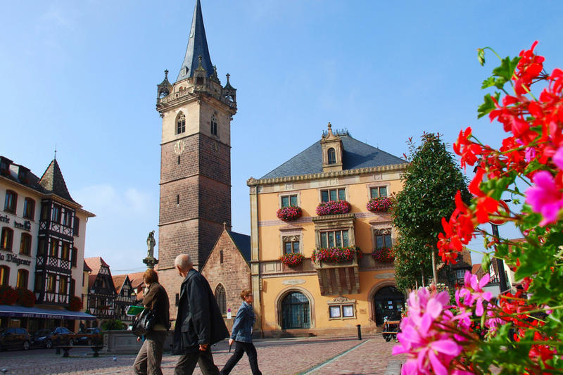 La vieille ville d'Obernai Réf 01