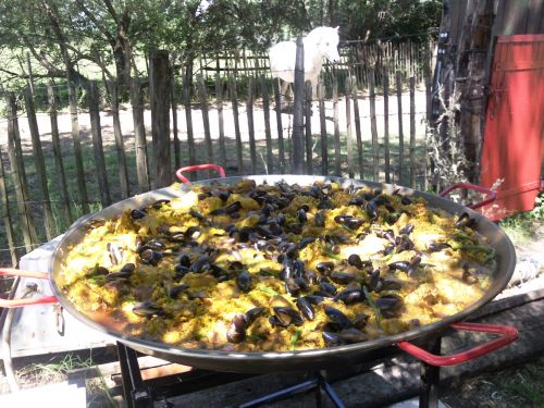 Blanco Negro Traiteur