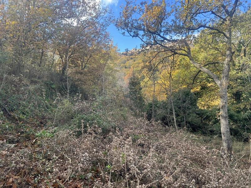 Terrain constructible - 2 000 m²