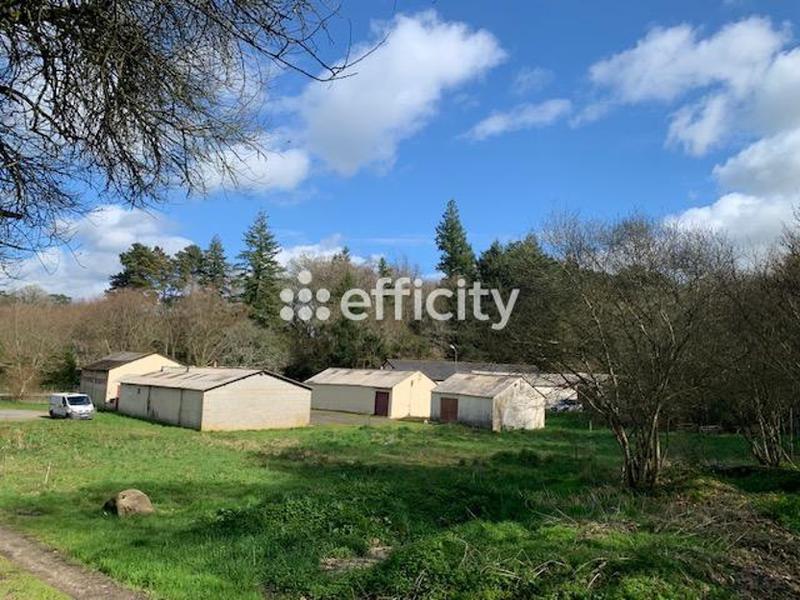 Local d'activité / Entrepôt - 4 269 m² - 1 pièce