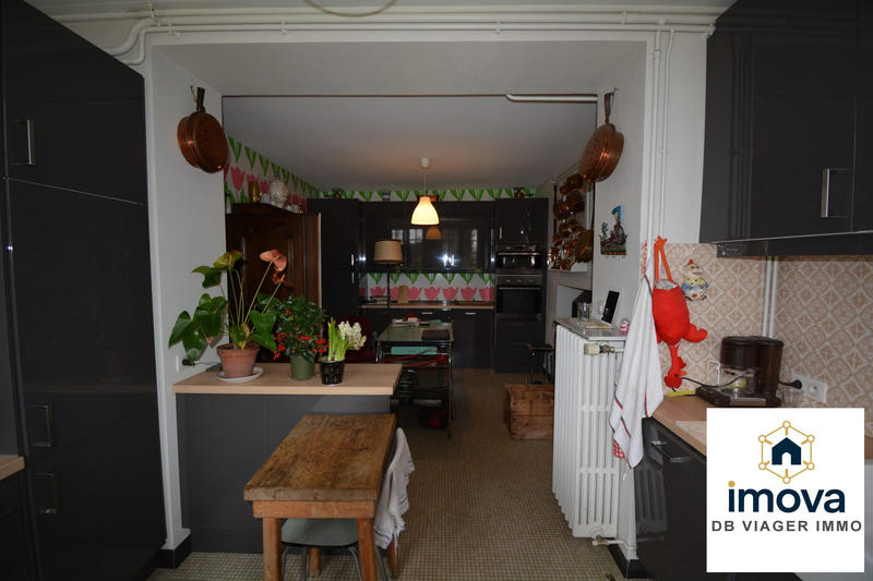 Viager - Maison - 381 m² - 11 pièces